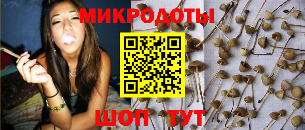 Галлюциногенные грибы мицелий Снежинск