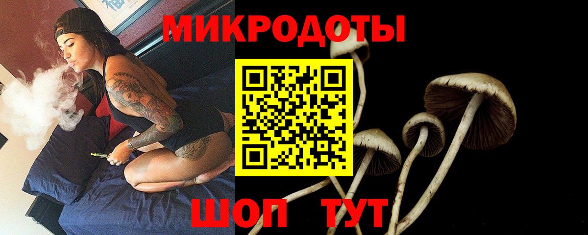 Снежинск  Галлюциногенные грибы Psilocybine cubensis  Вход с VPN  Псилоцибиновые грибы Magic Shrooms 